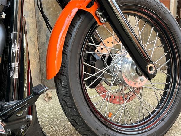 2021 Harley-Davidson Softail