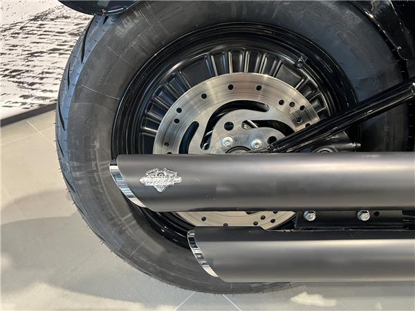 2013 HARLEY-DAVIDSON SLIM