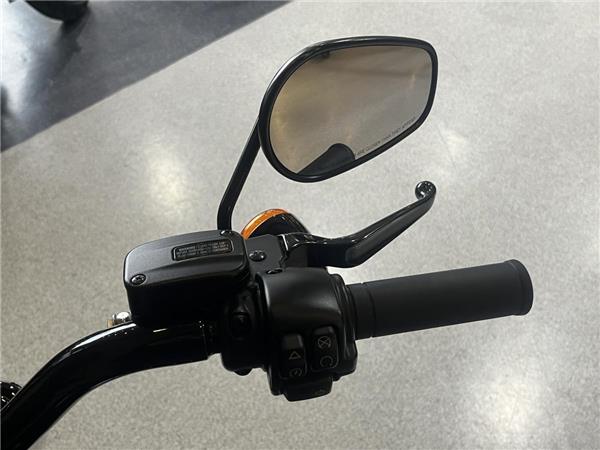 2020 Harley-Davidson Softail