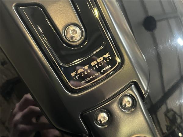 2020 Harley-Davidson Softail