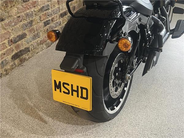 2020 Harley-Davidson Softail