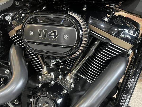 2020 Harley-Davidson Softail