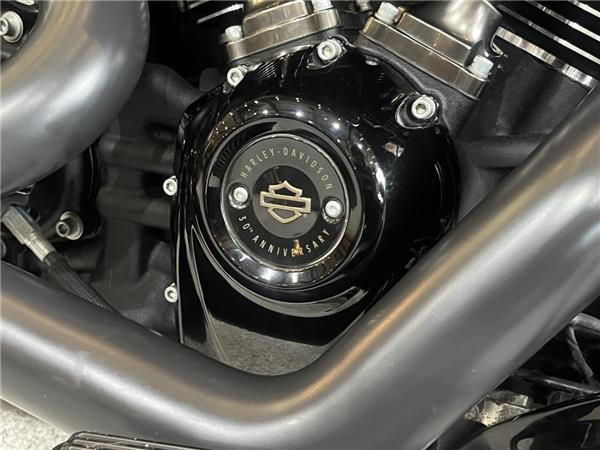 2020 Harley-Davidson Softail