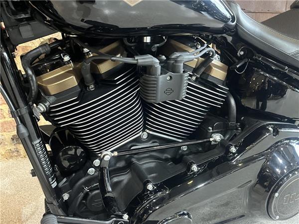 2020 Harley-Davidson Softail