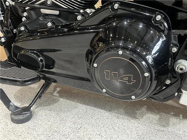 2020 Harley-Davidson Softail