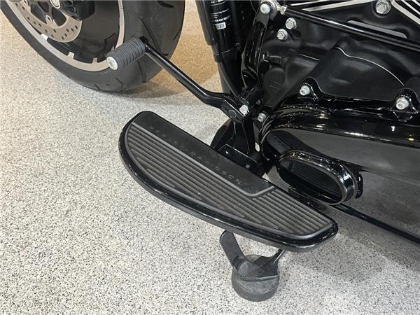 2020 Harley-Davidson Softail