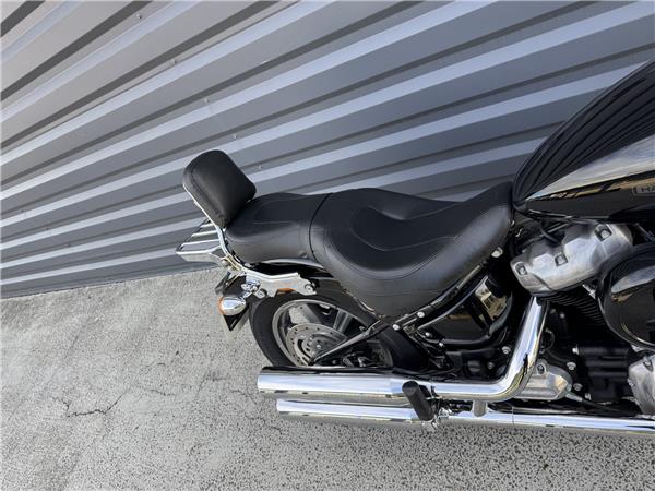 2022 HARLEY-DAVIDSON STANDARD