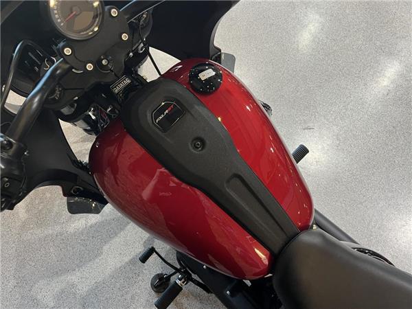 2025 Harley-Davidson Softail