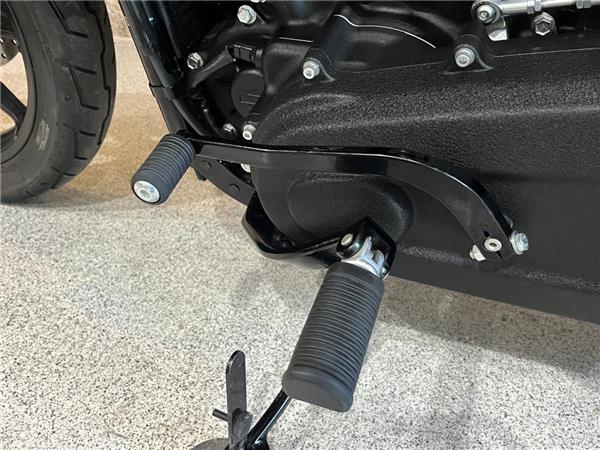 2025 Harley-Davidson Softail