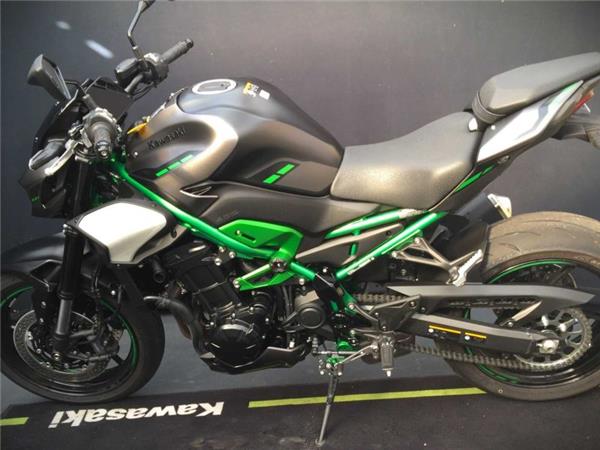 2025 Kawasaki Z900 GREY & GREEN