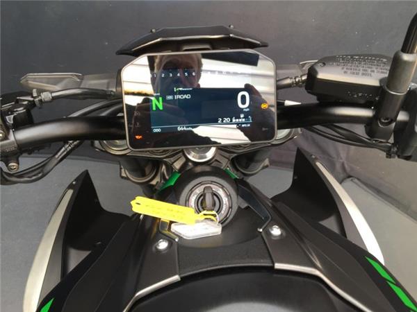 2025 Kawasaki Z900 GREY & GREEN