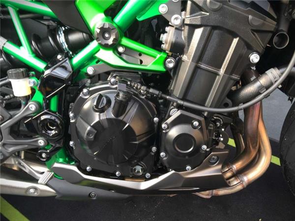 2025 Kawasaki Z900 GREY & GREEN