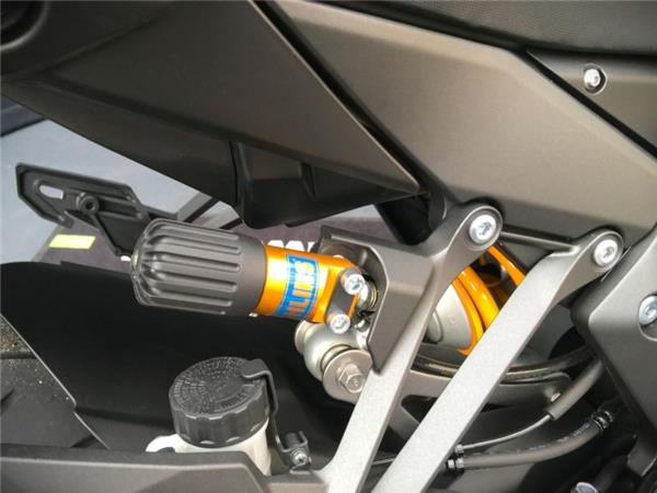 2025 Kawasaki NINJA 1100SX SE GREEN & BLACK