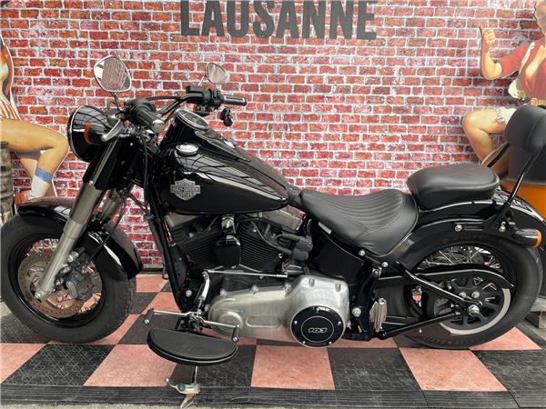 2015 harley-davidson FLS Softail Slim ABS