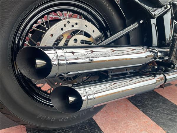 2015 harley-davidson FLS Softail Slim ABS