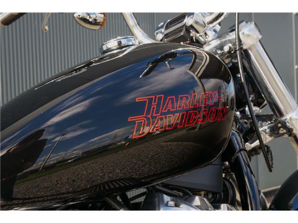 2024 Harley-Davidson Softail Standard