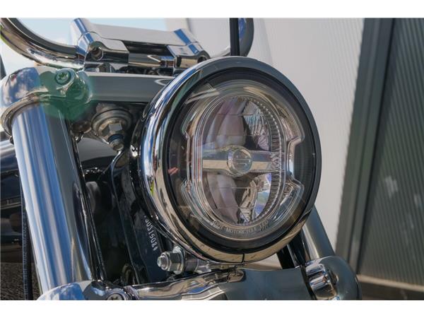 2024 Harley-Davidson Softail Standard