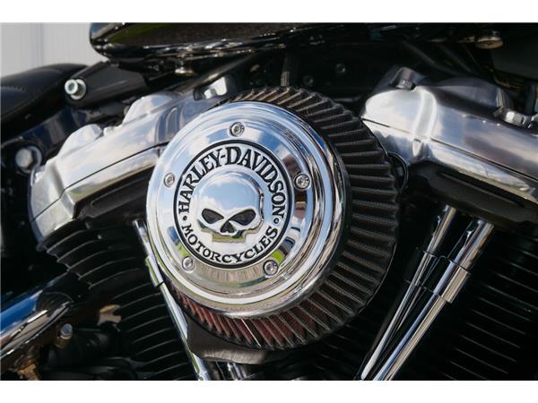 2024 Harley-Davidson Softail Standard