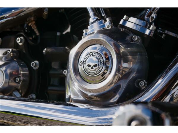 2024 Harley-Davidson Softail Standard