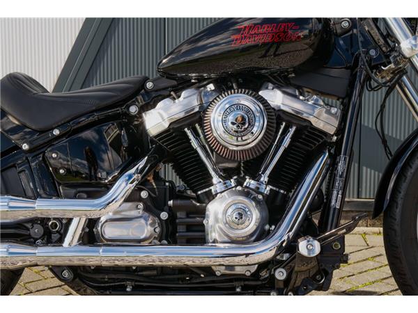 2024 Harley-Davidson Softail Standard