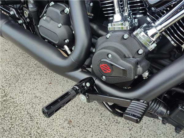 2025 HARLEY-DAVIDSON LOW RIDER