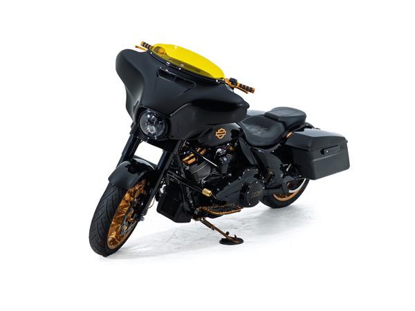 2022 harley-davidson FLHXST Street Glide ST 117