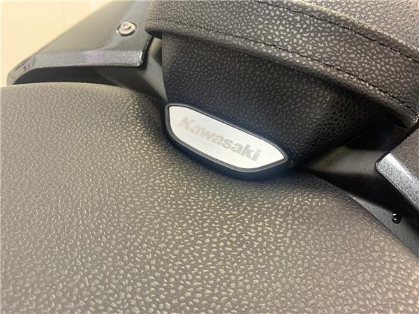 2025 KAWASAKI Z 900