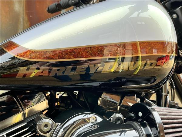 2017 Harley-Davidson CVO