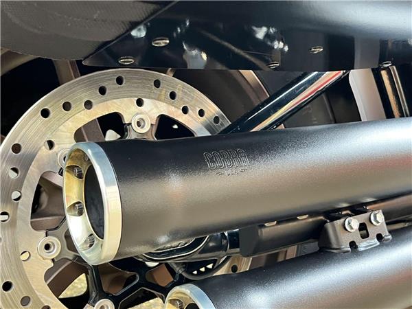 2021 Harley-Davidson Softail