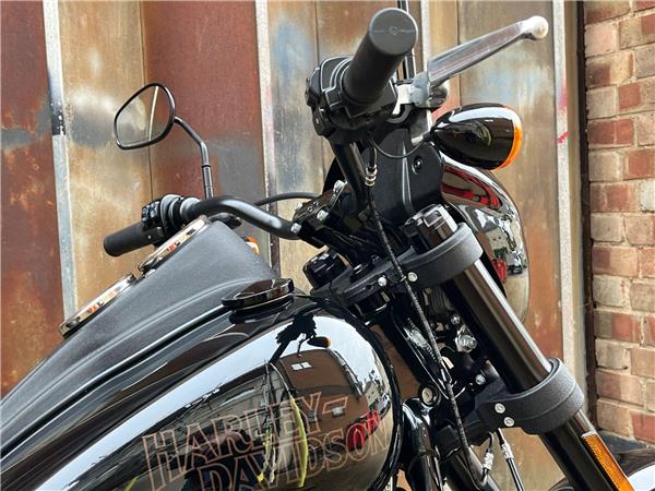 2021 Harley-Davidson Softail