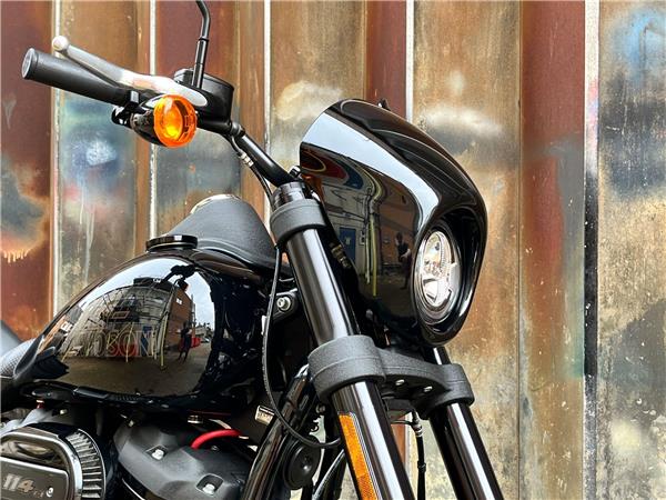 2021 Harley-Davidson Softail