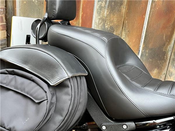 2021 Harley-Davidson Softail