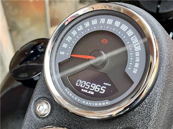 2021 Harley-Davidson Softail