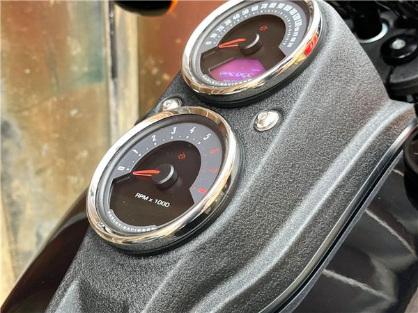 2021 Harley-Davidson Softail