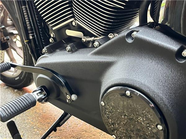 2021 Harley-Davidson Softail