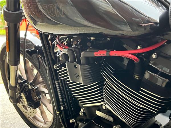 2021 Harley-Davidson Softail