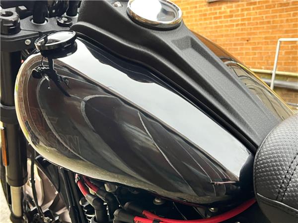 2021 Harley-Davidson Softail