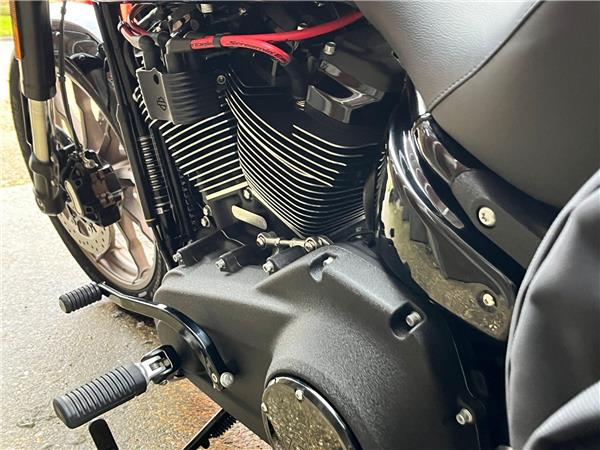 2021 Harley-Davidson Softail