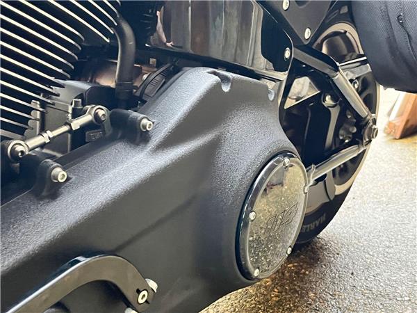 2021 Harley-Davidson Softail