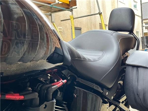 2021 Harley-Davidson Softail