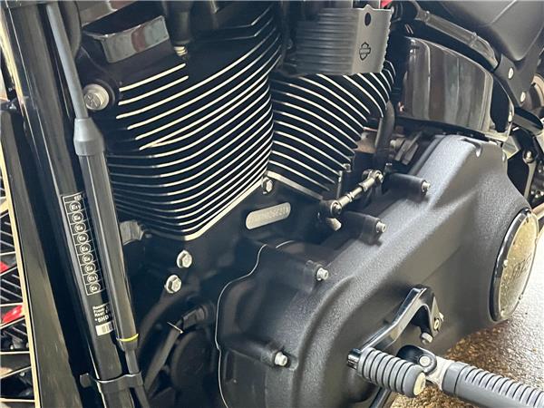 2021 Harley-Davidson Softail