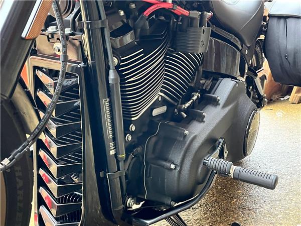 2021 Harley-Davidson Softail