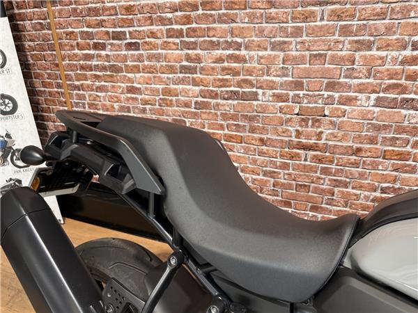 2025 HARLEY-DAVIDSON PAN AMERICA