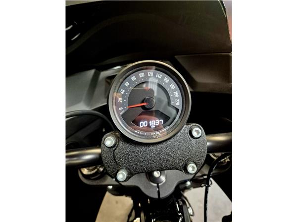 2025 HARLEY-DAVIDSON LOW RIDER