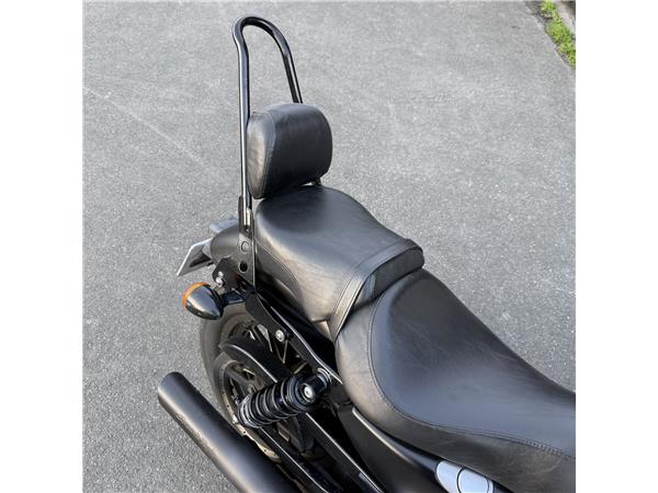 2012 HARLEY-DAVIDSON IRON