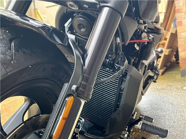 2025 Harley-Davidson Sportster