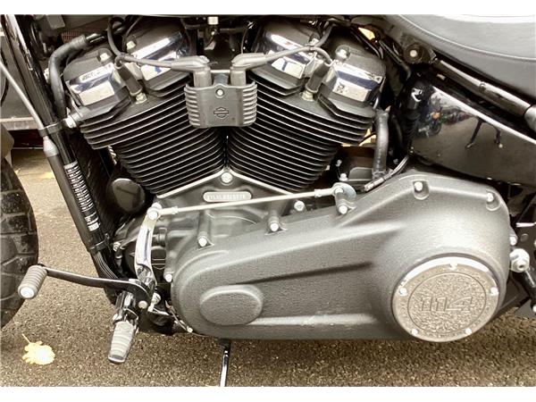 2020 Harley-Davidson Softail