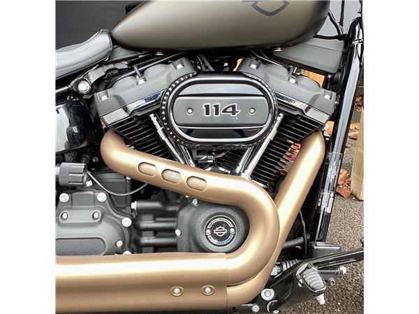 2020 Harley-Davidson Softail