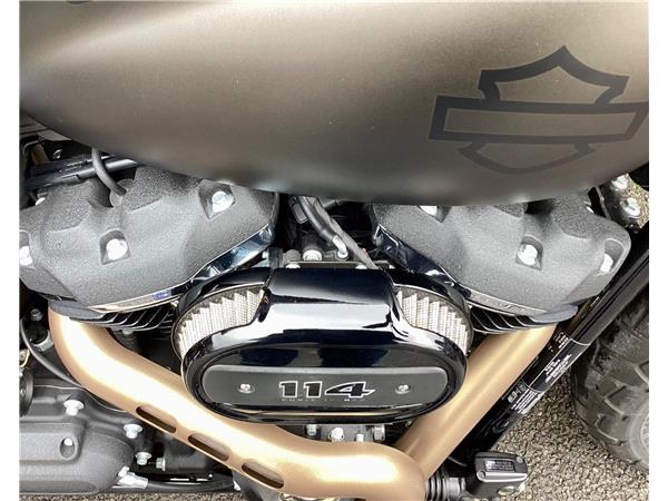 2020 Harley-Davidson Softail