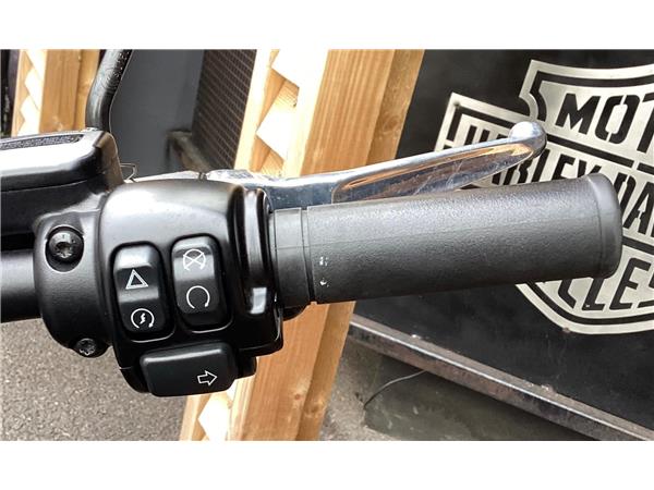 2020 Harley-Davidson Softail